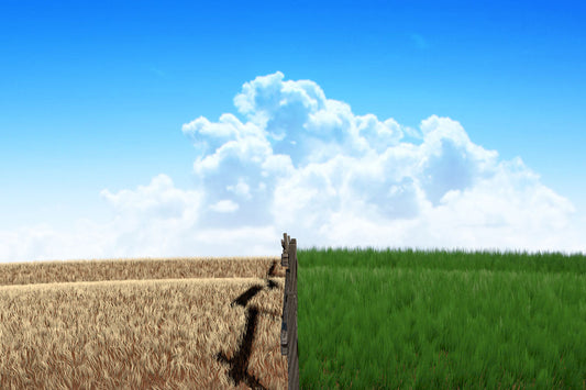 The grass is greener over here!